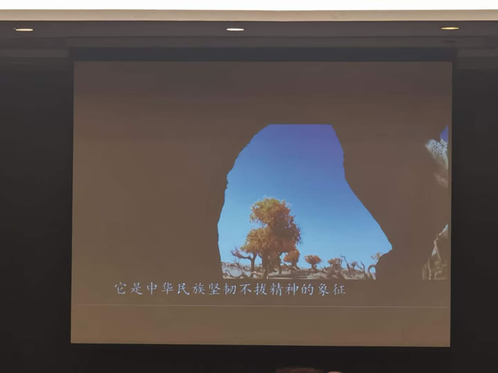 綿陽(yáng)中旅行假日旅行社舉行胡楊林、南疆專列推薦會(huì)